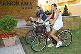 Premium Hotel Panorama Siofok - See Balaton - Sportprogramme - Wellnessurlaub in Ungarn - Fahrradverleih im Hotel