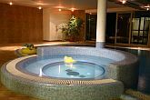 Echo Residence All Suite Luxury Hotel mit günstigen Pauschalangebote für ein Wellnesswochenende in Tihany